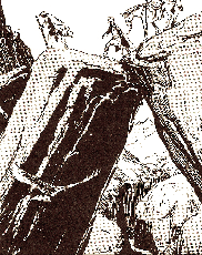 Colonials historical fiction