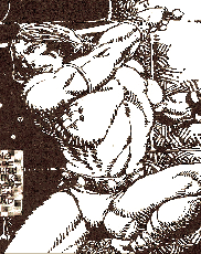 Colonial adventure fiction